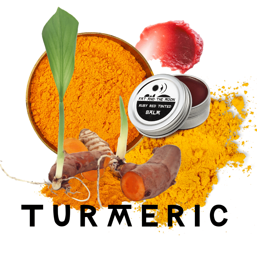 Turmeric: Herbal Benefits for Inflammation, Immunity, and Skin Health
