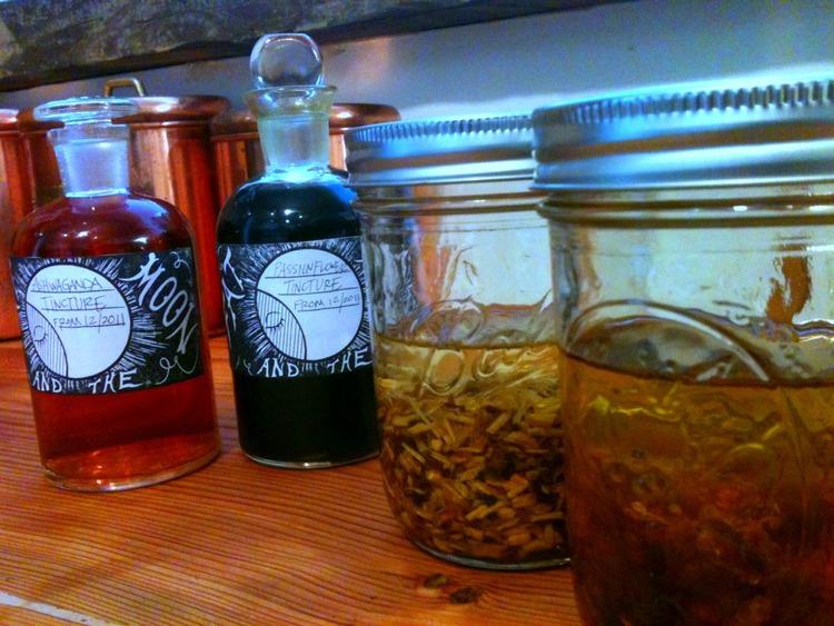 Making Herbal Medicine: Plant-Based Remedies