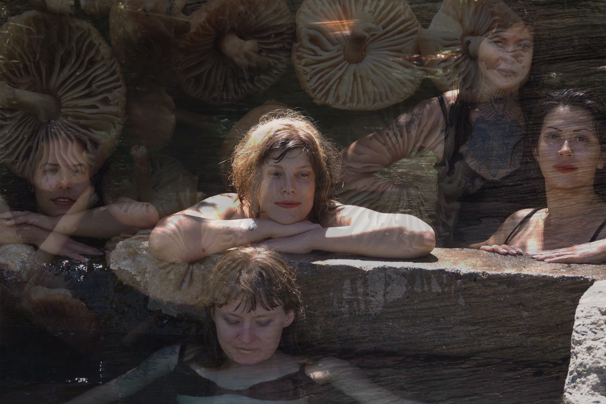 Women and Self-Care: Herbal Practices for Empowerment and Healing