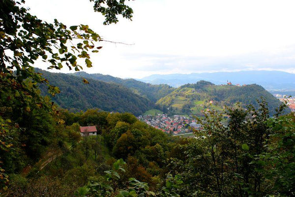 Slovenia: Exploring Herbal Roots, Ancestral Healing, and Plant Wisdom