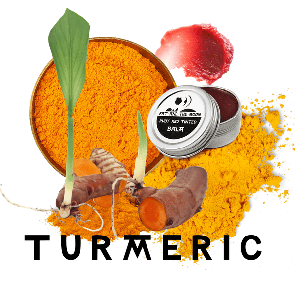 Plant Focus: Turmeric