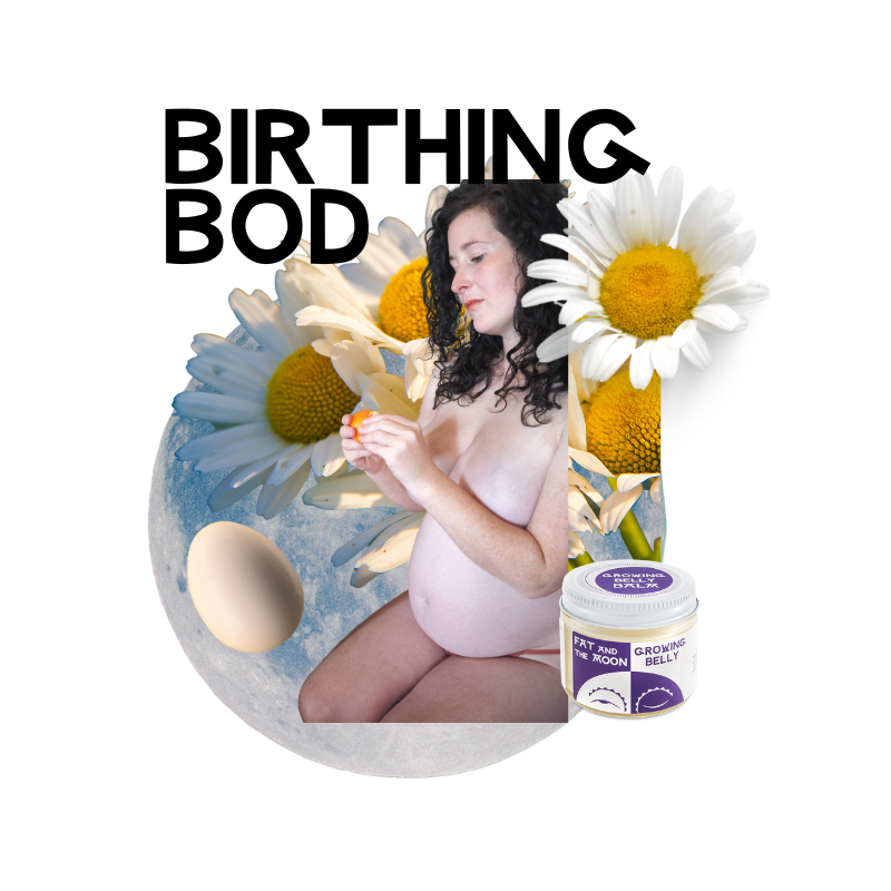 Bod Focus: Herbal Support for Pregnancy, Birth, and Postpartum Care