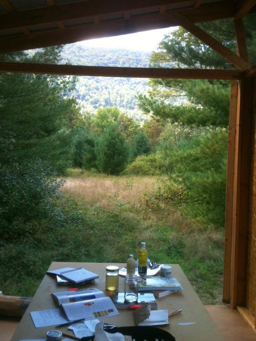 Fat and the Moon Updates: Behind the Scenes of Our Herbal Journey