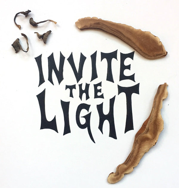 Invite the Light