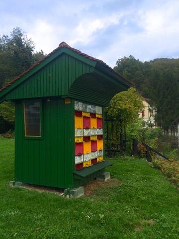 The Magic of the Bee: Pollinators, Herbalism, and Healing Through Honey