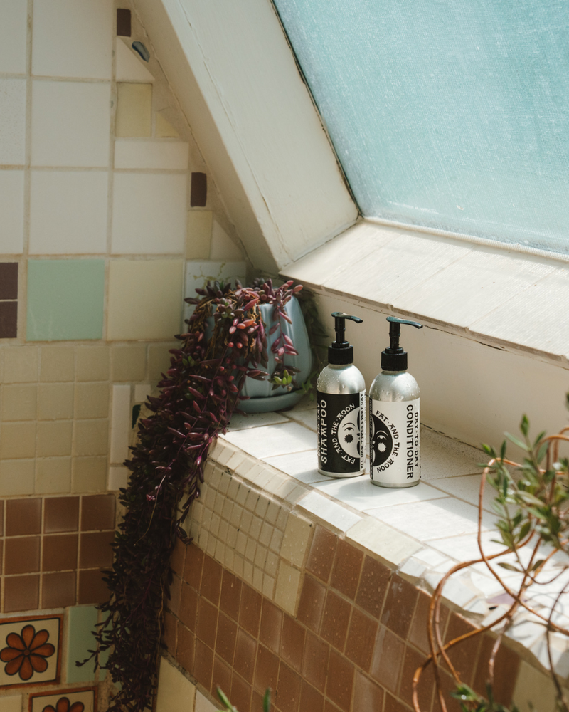 Day to Day Conditioner