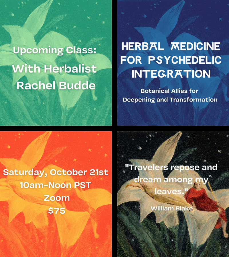 Class: Herbal Medicine for Psychedelic Integration
